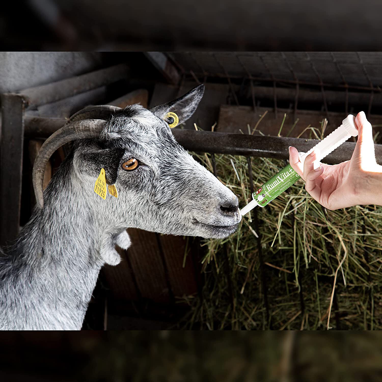 Finca casarejo rumivita suplemento alimenticio natural para rumiantes, , large Imagen numero 3